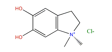 1,1-Dimethyl-5,6-dihydroxyindolinium chloride